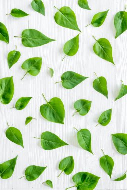 Yeşil ağaç yapraklarının deseni, doğa arka planı. Genel manzara, düz uzanma