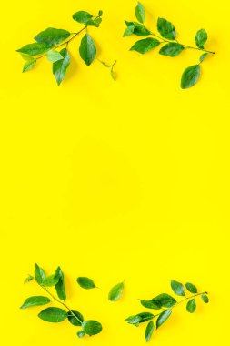 Yeşil yapraklardan oluşan üst çerçeve. Doğa konsepti düzeni