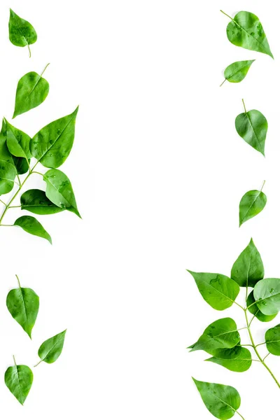 Marco de hojas verdes. Diseño de fondo de la naturaleza. Vista superior — Foto de Stock