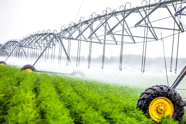 Agriculture irrigation machine on green field — Stock Photo, Image