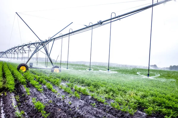 Mesin irigasi pertanian di lapangan hijau — Stok Foto