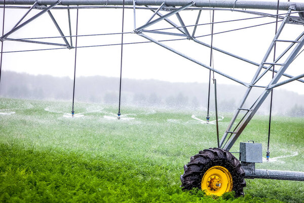 agriculture irrigation machine on green field