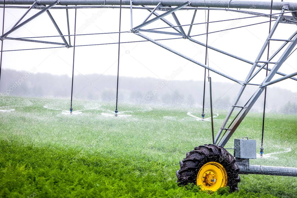 agriculture irrigation machine on green field