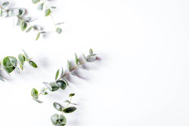 Beyaz arkaplan görünümünde morden bitkisel modelleme ile bahar