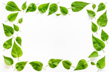 Yeşil yapraklardan oluşan üst çerçeve. Doğa konsepti düzeni