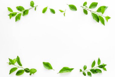 Yeşil yapraklardan oluşan üst çerçeve. Doğa konsepti düzeni