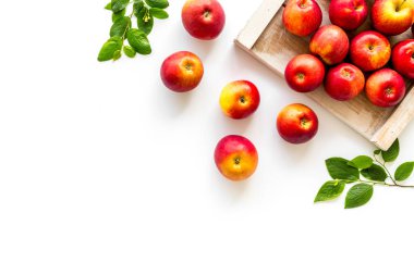 Yeşil yapraklı bir grup olgun kırmızı elma. Üst görünüm