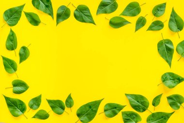 Yeşil yapraklardan oluşan üst çerçeve. Doğa konsepti düzeni
