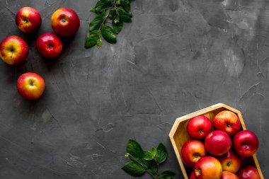 Yapraklı olgun kırmızı elmalar - üst görünüm, boşluk kopyala