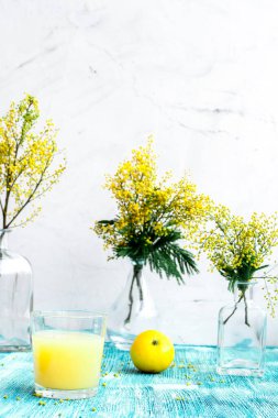 Mavi masadaki cam vazoda mimoza. Yaklaş.