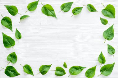 Yeşil yapraklardan oluşan üst çerçeve. Doğa konsepti düzeni