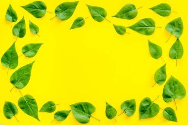 Yeşil yaprak çerçevesi. Doğa arka planı. Üst görünüm