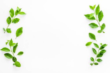 Yeşil yapraklardan oluşan üst çerçeve. Doğa konsepti düzeni