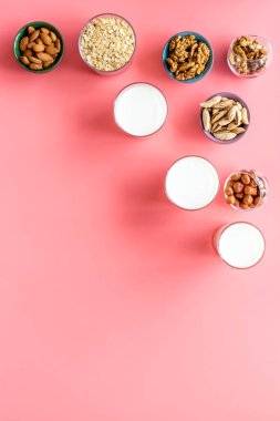 Sütsüz protein sütü - fındık ve inlemelerle iç