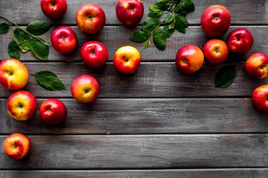 Yeşil yapraklı kırmızı elmaların çerçevesi