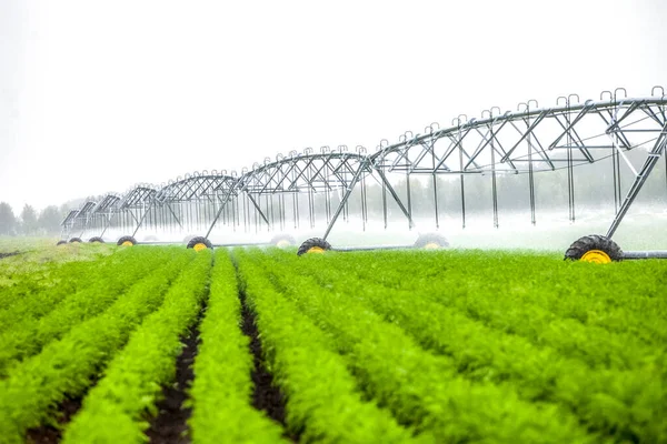 Paysage de champs verts flous avec processus d'irrigation automatique. — Photo