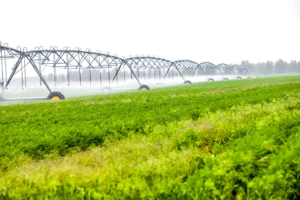 Paesaggio verde sfocato con processo di irrigazione automatico — Foto Stock