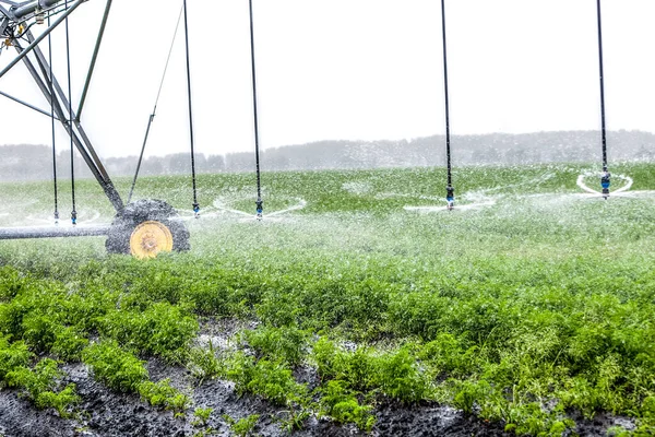 Landbouwirrigatiemachine met automatisch irrigatieproces. — Stockfoto
