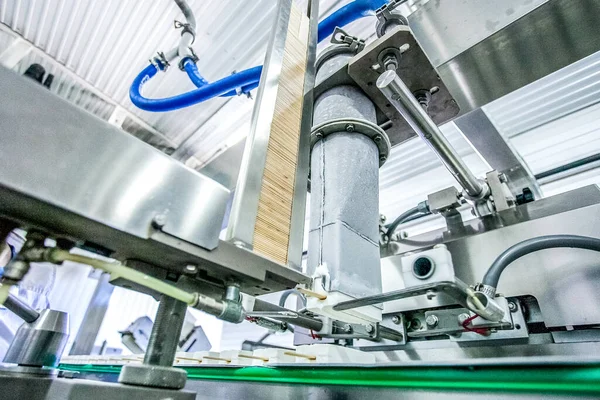 Fabrikada çubuk dondurma üretimi — Stok fotoğraf