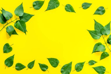 Yeşil yapraklardan oluşan üst çerçeve. Doğa konsepti düzeni