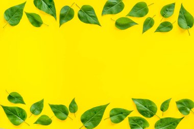 Yeşil ağaç yapraklarının deseni, doğa arka planı. Genel manzara, düz uzanma