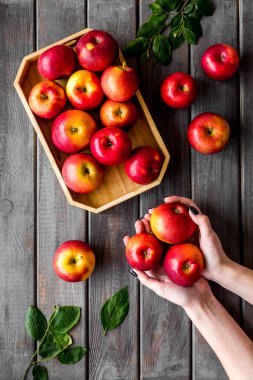 Tahta tepside yapraklı kırmızı elmalar grubu. Sonbahar hasadı