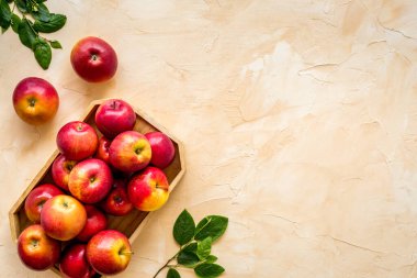 Taze kırmızı elmaların yerleşimi. Üst görünüm, alanı kopyala