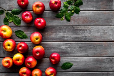 Yeşil yapraklı kırmızı elmaların çerçevesi