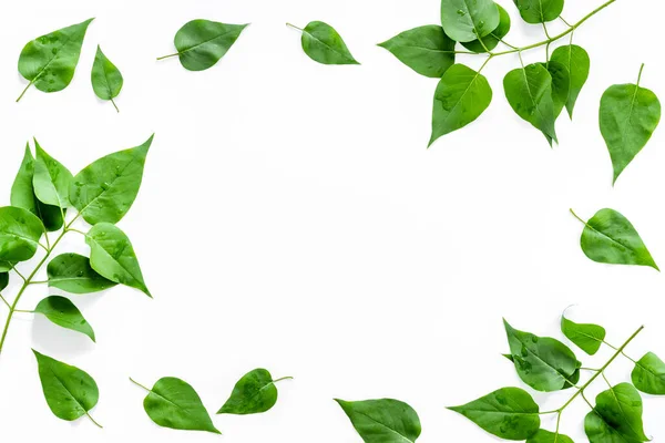 Marco de vista superior de hojas verdes. Diseño del concepto naturaleza — Foto de Stock