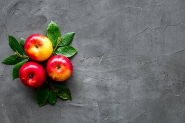 Yapraklı olgun kırmızı elmalar - üst görünüm, boşluk kopyala