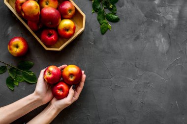 Tahta tepside yapraklı kırmızı elmalar grubu. Sonbahar hasadı