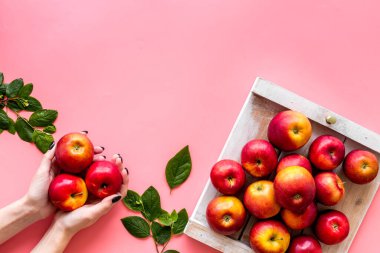 Taze kırmızı elmaların yerleşimi. Üst görünüm, alanı kopyala