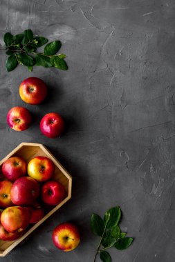 Taze kırmızı elmaların yerleşimi. Üst görünüm, alanı kopyala