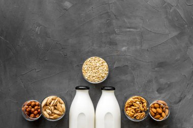 Sütsüz protein sütü - fındık ve inlemelerle iç