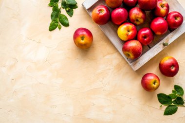 Yeşil yapraklı kırmızı elmaların çerçevesi