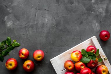 Taze kırmızı elmaların yerleşimi. Üst görünüm, alanı kopyala