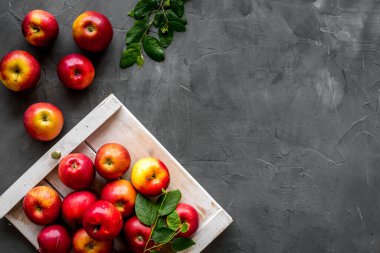 Yeşil yapraklı kırmızı elmaların çerçevesi