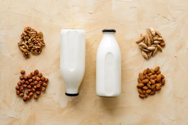 Sütsüz süt, badem fındıklı ceviz. Üst görünüm, alanı kopyala