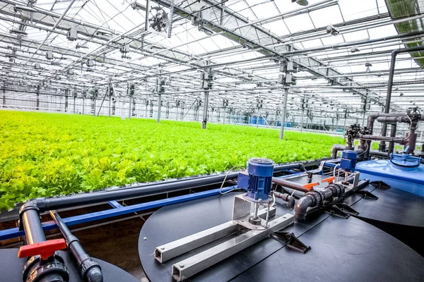 Water conveying at hydroponic plantation — Stock Photo, Image