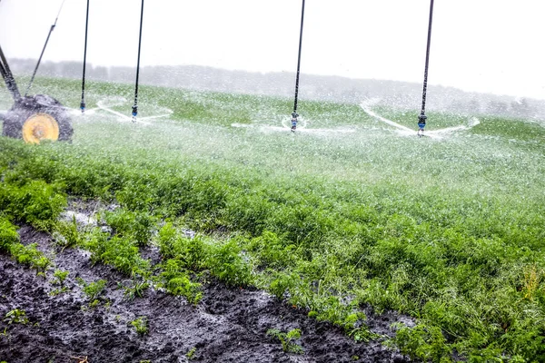 Agricultură mașină de irigare pe un teren agricol . — Fotografie, imagine de stoc