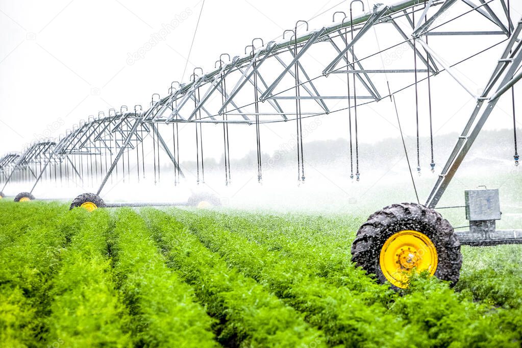 Blurred green field landscape with automatical irrigation process.