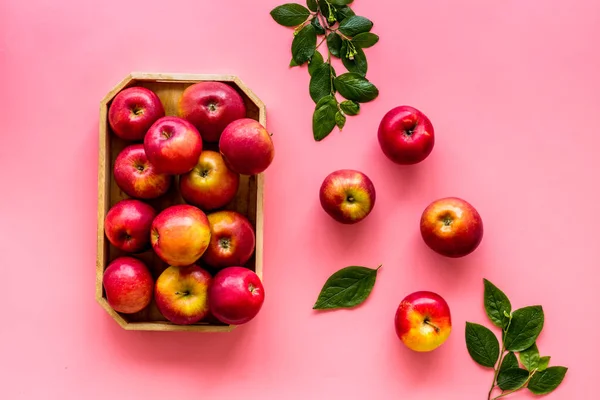 Gruppe roter Äpfel in Holzschale mit Blättern. Herbsternte — Stockfoto