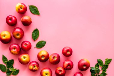 Taze kırmızı elmaların yerleşimi. Üst görünüm, alanı kopyala