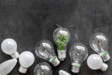 Enerji tasarruflu eko ampul - içinde yeşil bitki olan lamba