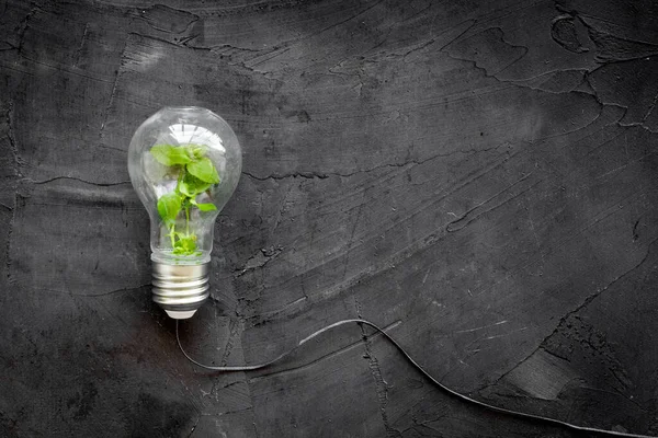 Energibesparande glödlampa med grön växt inuti, ovanifrån — Stockfoto