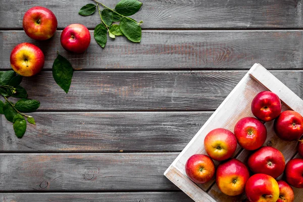 Yeşil yapraklı kırmızı elmaların çerçevesi