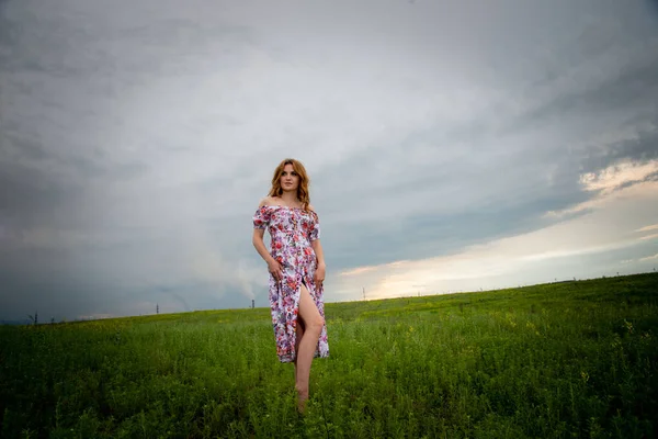 Mujer Joven Vestido Floral Posando Campo — Foto de Stock