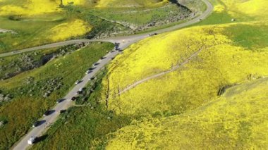 Carrizo Plain Ulusal Anıtı yakınlarındaki Otoyol Boyunca Turist Arabaları 2019 Super Bloom Virajı