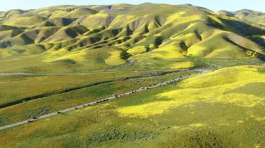 Carrizo Plain Ulusal Anıtı yakınlarındaki Otoyol Boyunca Turist Arabaları 2019 Super Bloom Forward