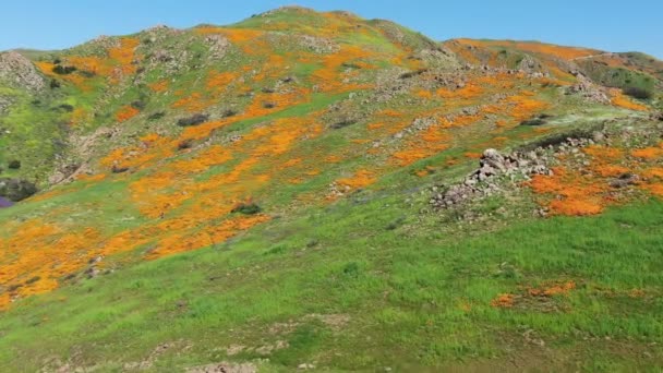 加利福尼亚超级花朵2019空中射花在美国埃尔辛诺尔湖俯瞰天空 — 图库视频影像